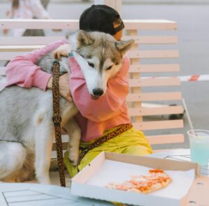 Summer Foods for Dogs