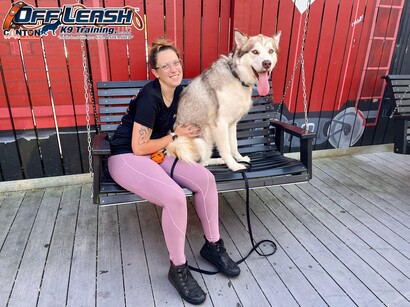 woman dog trainer with her dog