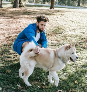 Keep your dog active when it's too hot.