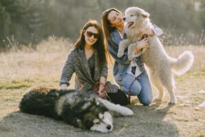 Keep your dog active when it's too hot.