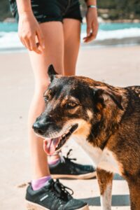 Beat the Heat: Signs of Overheating and How to Prevent It