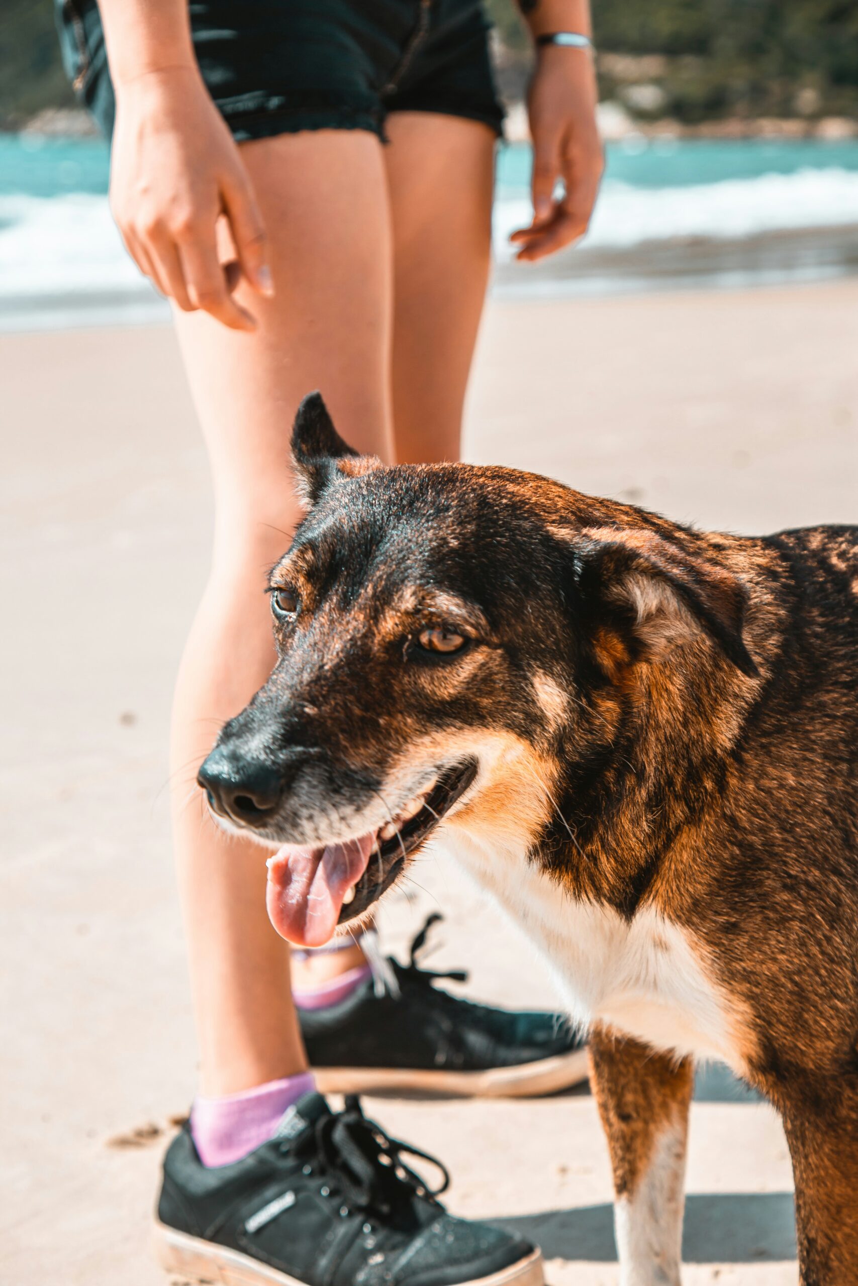 Beat the Heat: Signs of Overheating and How to Prevent It