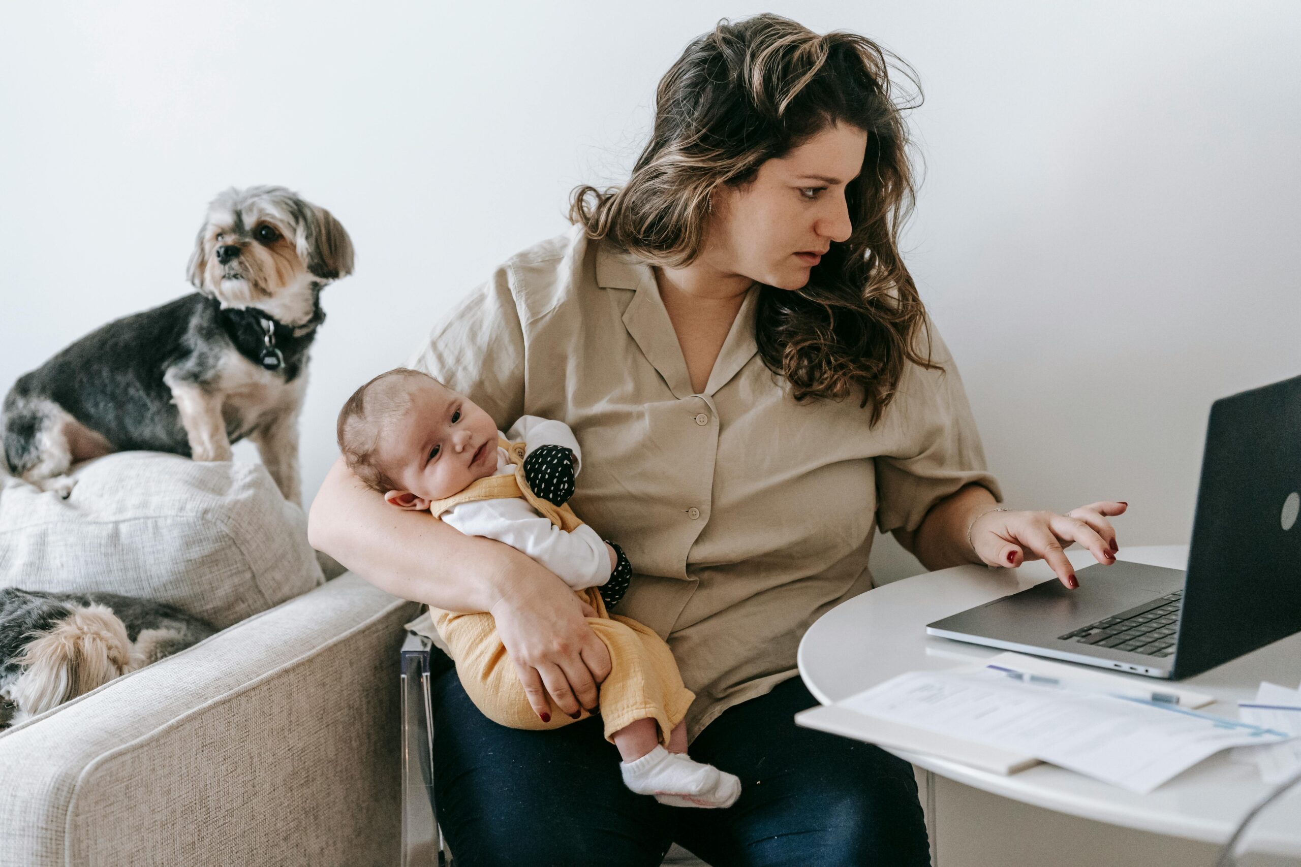 How to Train Dogs With Kids at Home: Expert Family Tips