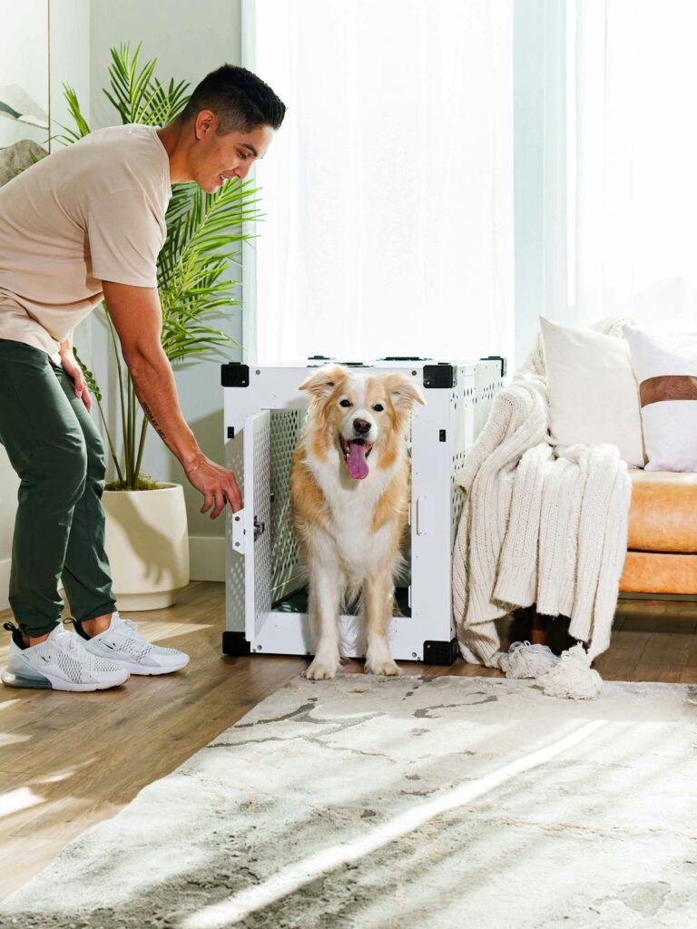 Crate Training 101: The Simple Positive Approach
