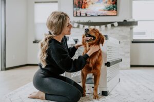 Crate Training 101: The Simple Positive Approach