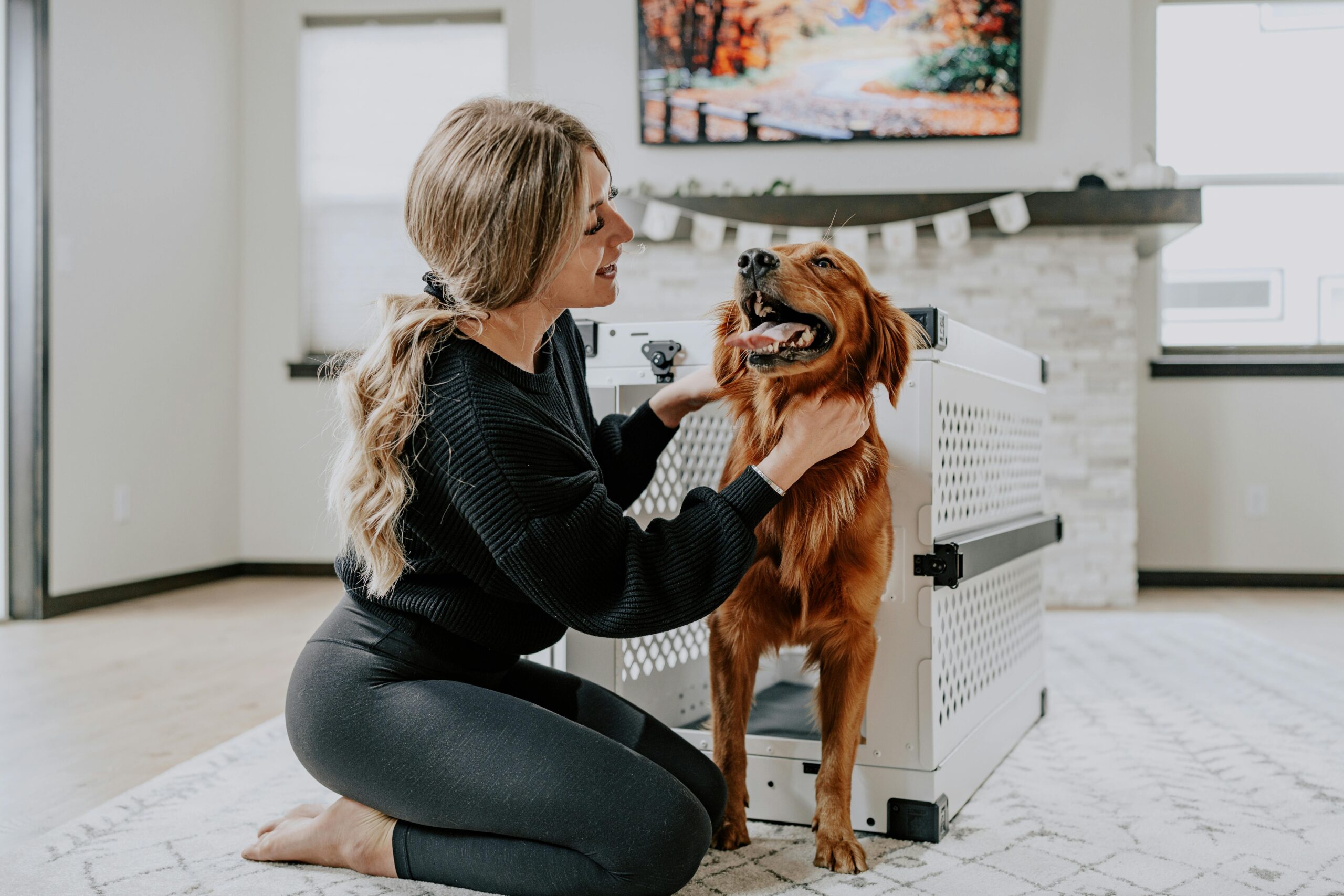 Crate Training 101: The Simple Positive Approach