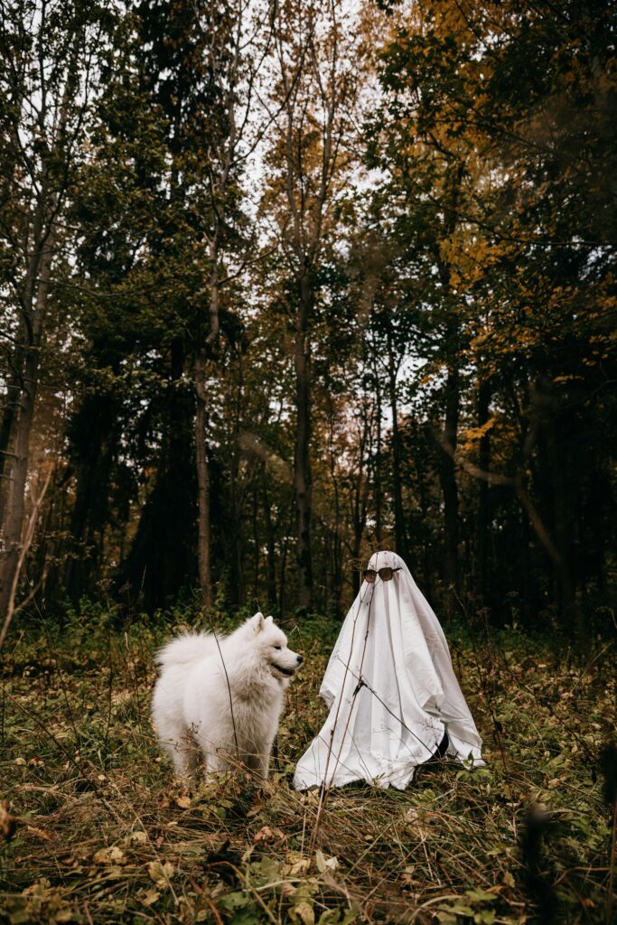 Spooky Halloween with Dogs: Fun Costumes, Candy, and Chaos 